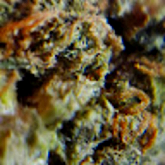 C.i.a.m. New&Worn - Picture 5 of 7